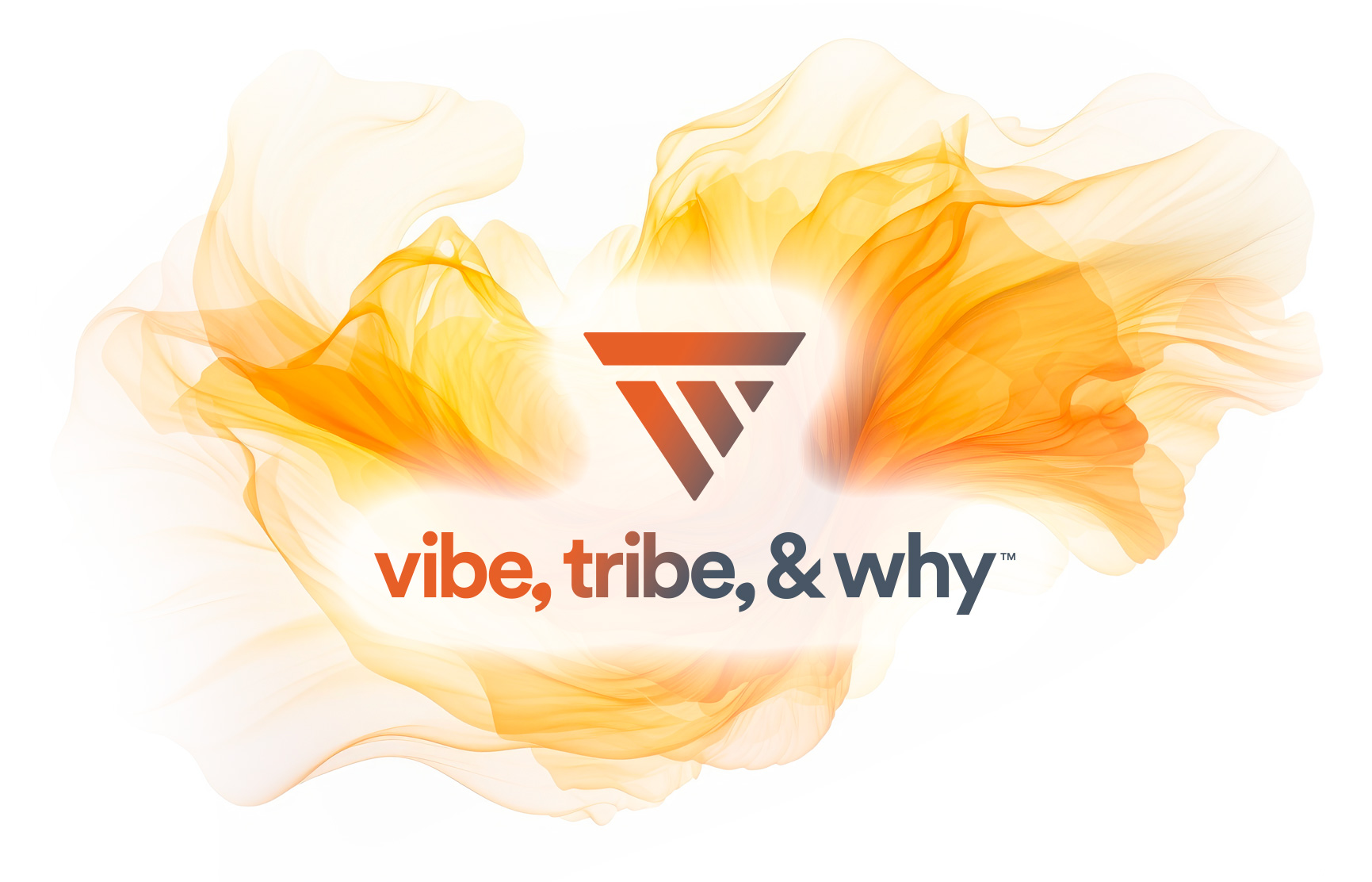 Vibe, Tribe, & Why™ - what we will clarify